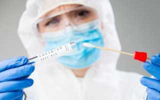 Инфекционист ФМБА заявил, что смешение гриппа и COVID-19 может стать причиной роста летальных случаев — 3 сентября 2021 — Sport24