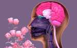 Названы самые частые нарушения мозга после коронавируса — 7 августа 2021 — Sport24