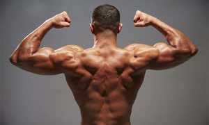 Тренировка спины дома: упражнения с гантелями для мышц спины