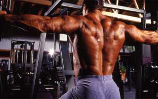 Упражнения для спины в тренажерном зале: базовые и изолированные